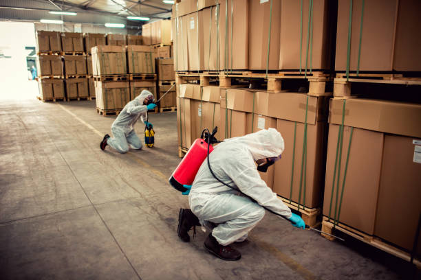 Best Bed Bug Extermination  in Rockwell, AR
