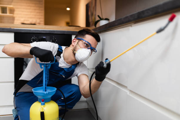 Best Commercial Pest Control Services  in Rockwell, AR