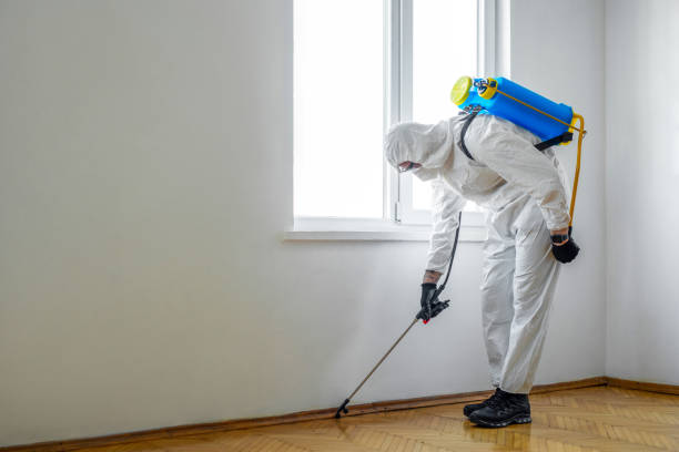 Best Best Pest Control Near Me  in Rockwell, AR