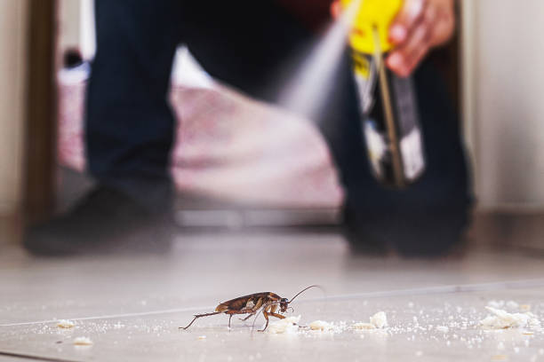 Pest Control Cost in Rockwell, AR