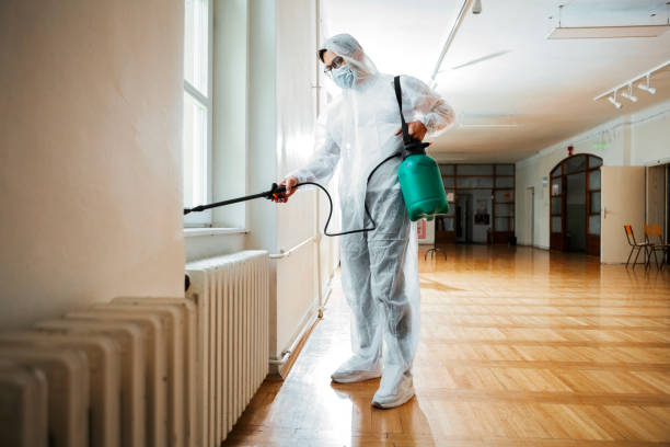 Best Mosquito Control Services  in Rockwell, AR