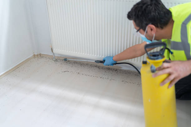 Best Ant Control Services  in Rockwell, AR