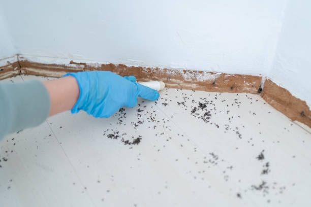 Best Best Pest Control Companies  in Rockwell, AR